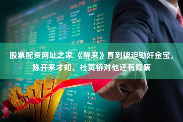 股票配资网址之家 《醒来》直到被迫锄奸金宝，陈开来才知，杜黄桥对他还有隐瞒